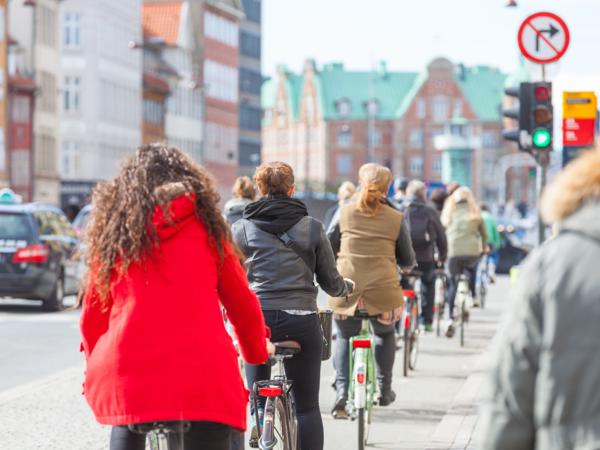 Copenhagen bike traffic