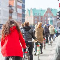 Copenhagen bike traffic