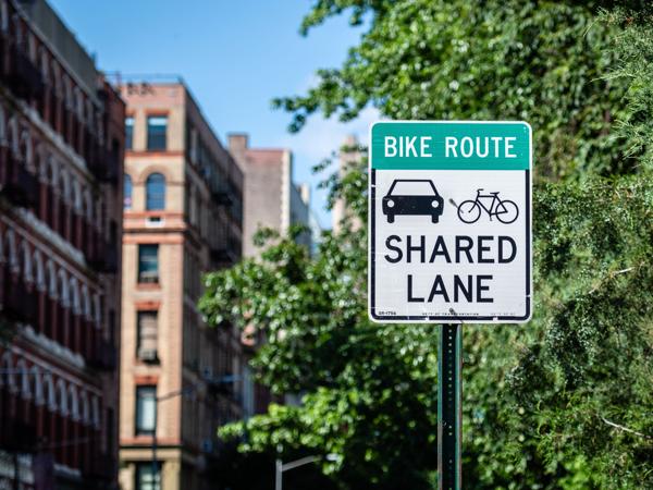 Share Lane Sign