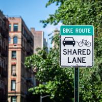 Share Lane Sign