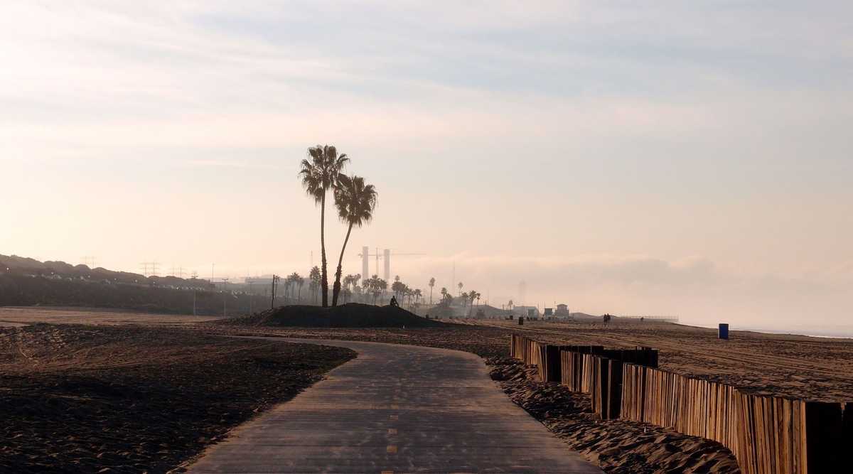 Bike Path and palm trees on the beach at  Dockweiler Beach State Park, Playa Del Rey in Los Angeles, California with sun rising overhead.
